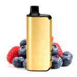 Alibarbar Ingot 9000 Sedutan - Blueberry Raspberry